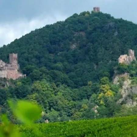 La Ferme Des Perles Noires Ribeauvillé
