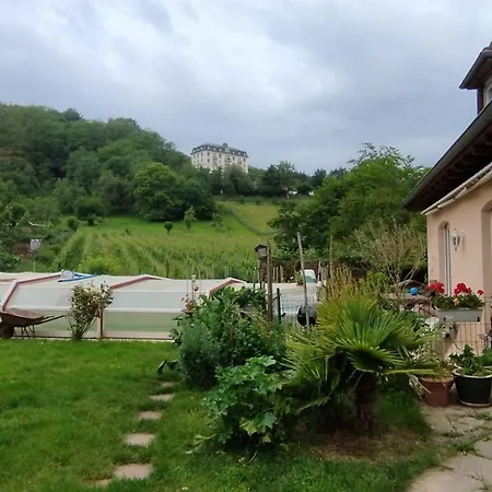 Guest house La Ferme Des Perles Noires Ribeauville (Haut-Rhin)